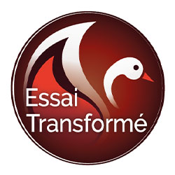 essai-transforme